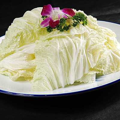 Nappa Cabbage