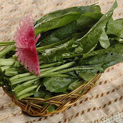 Spinach