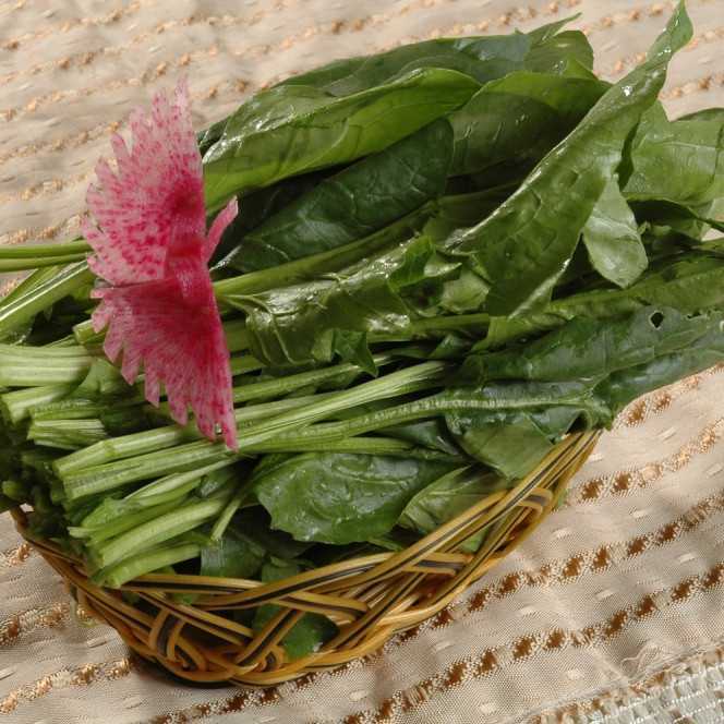 Spinach