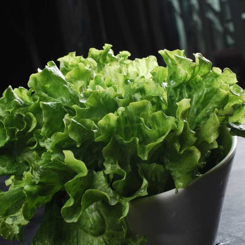 Lettuce