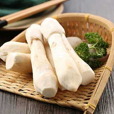 King Oyster Mushroom
