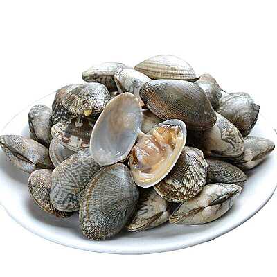 Clam