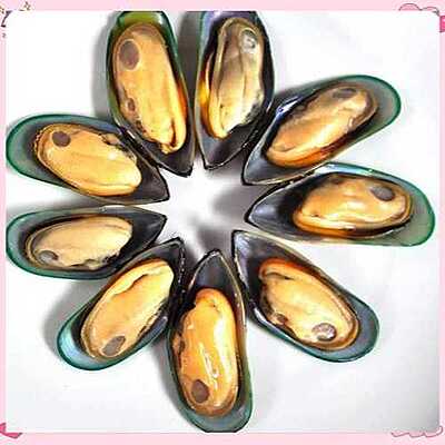 New Zealand Mussel