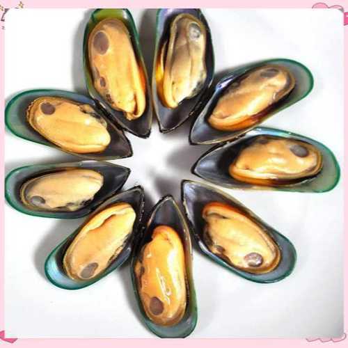New Zealand Mussel
