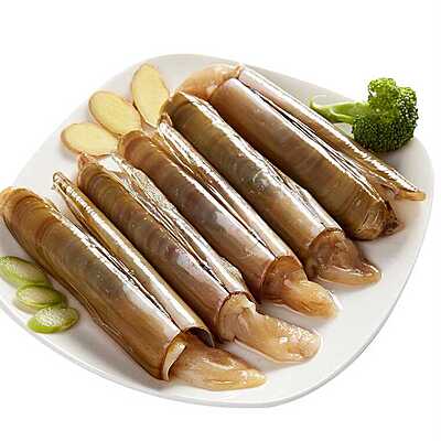 Razor Clam Maxi