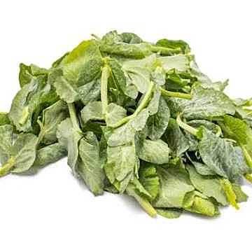 Sugar Pea Sprouts