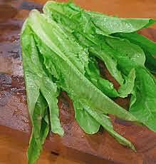 A Choy