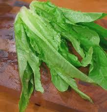 A Choy